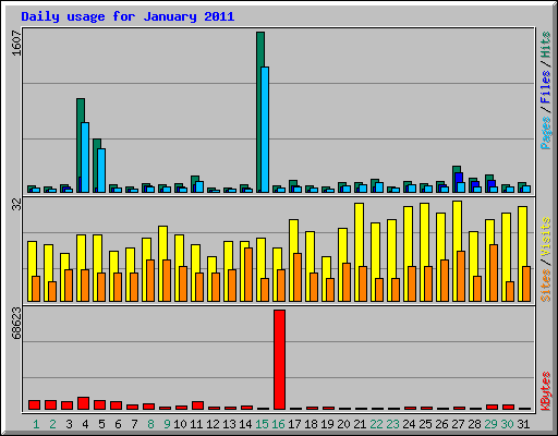 Daily usage for January 2011