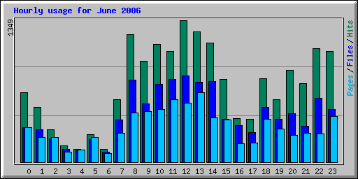 Hourly usage for June 2006