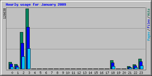 Hourly usage for January 2009