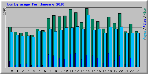 Hourly usage for January 2010