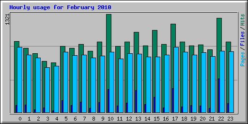 Hourly usage for February 2010