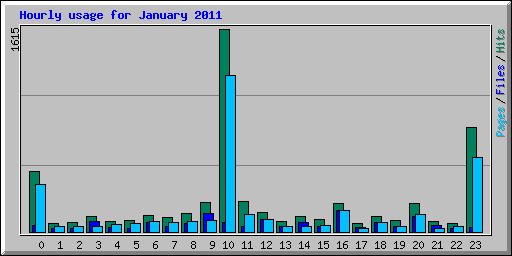 Hourly usage for January 2011