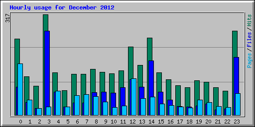 Hourly usage for December 2012